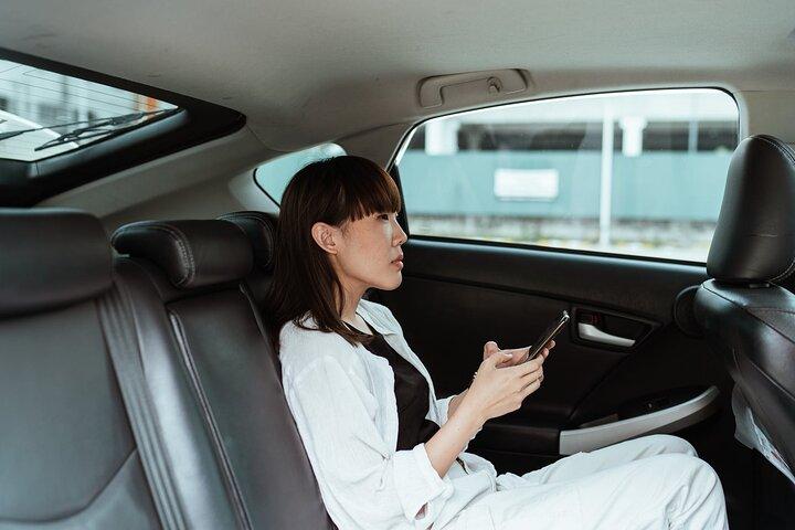 Explore Osaka in One Day Tour with English-Speaking Driver