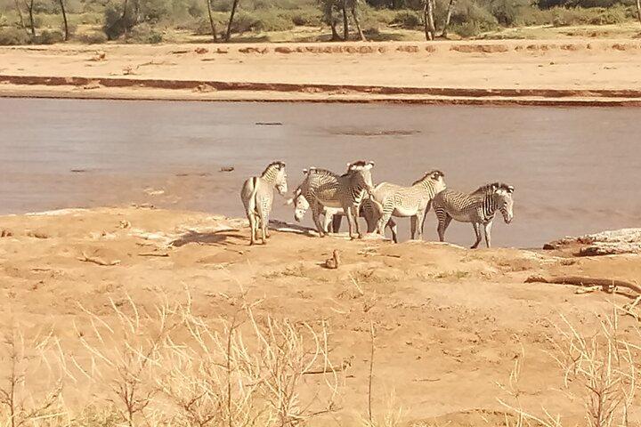 5 Days Safari to Samburu N/R Ol Pejeta Conservancy Hells Gate N/P, Lake Naivasha