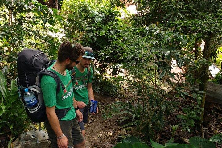 4-Day Inca Jungle Trail to Machu Picchu Hiking and Biking Tour