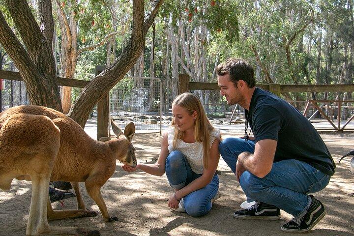 Currumbin Wildlife Sanctuary General Entry Ticket