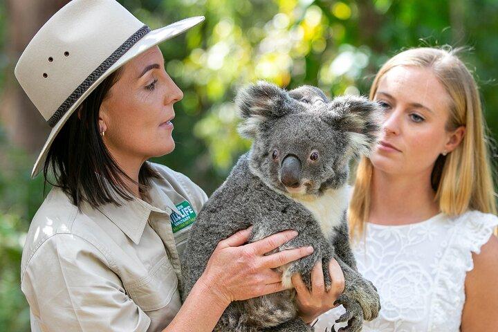 Currumbin Wildlife Sanctuary General Entry Ticket