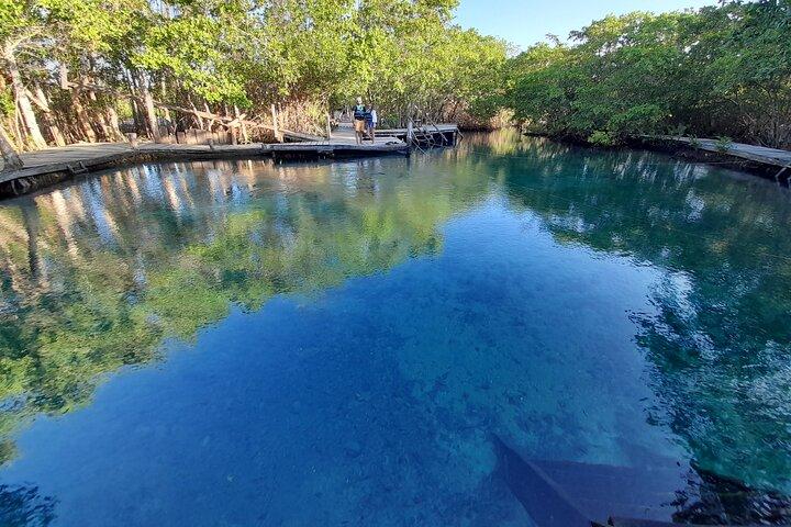 Boat Tour of Three Islands in Holbox with Transportation