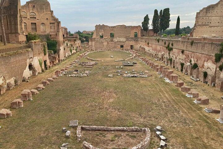 Private Tour of Roman Forum & Palatine Hill