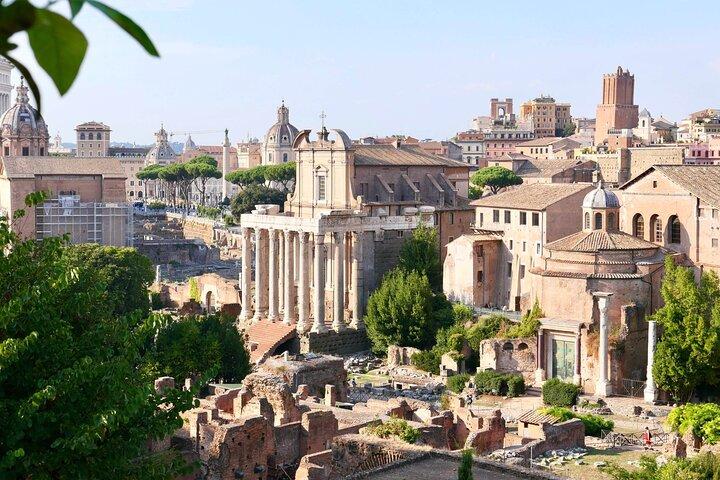 Private Tour of Roman Forum & Palatine Hill