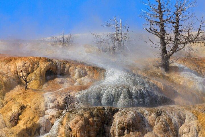 Full Day Yellowstone Nat'l Park Tour From West Yellowstone