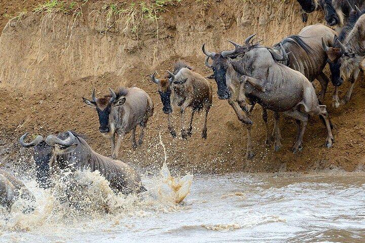 8 Days Serengeti Migration safari