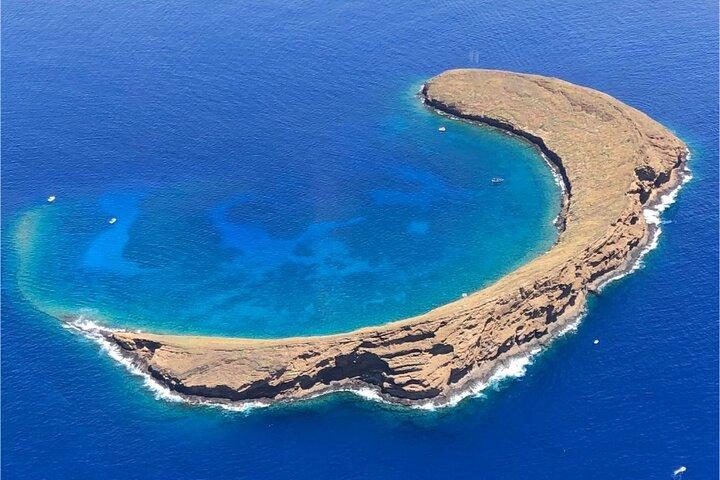 Maui: Molokini Crater and Turtle Town Snorkeling From Kihei