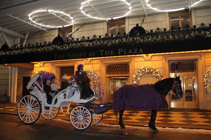 Magical Evening Horse-Drawn Carriage through NYC (65 min)