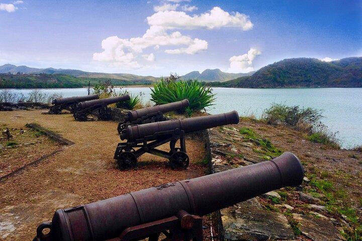 City of St John's Sightseeing Tour