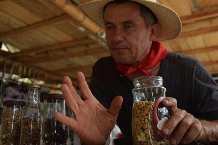 Coffee Tour in Medellin