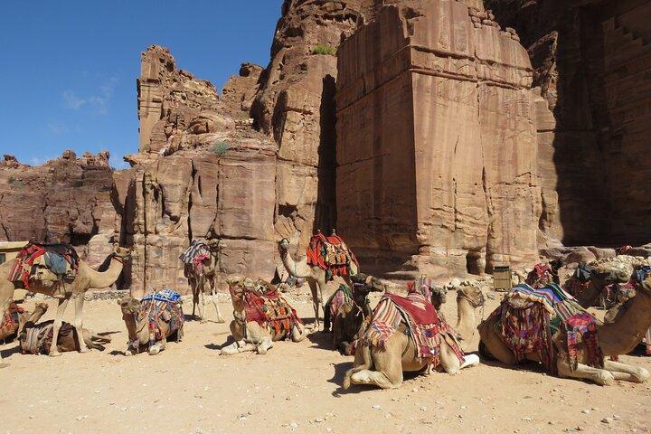 Amman to Petra round trip