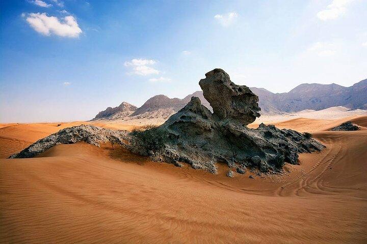 Private Experience in Fossil Rock Desert Safari