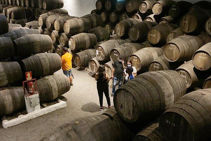 Wine Tasting with Tapas Walking Tour in Porto