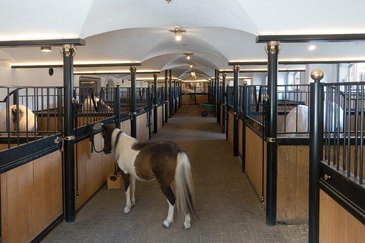 Lipica Stud Farm & Skocjan Caves - Small Group Tour from Koper