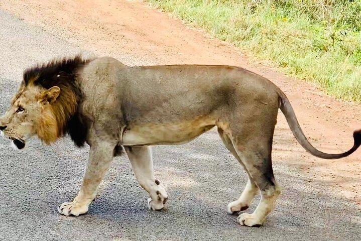 Nairobi National Park,Giraffe Centre, Karen Blixen Museum.