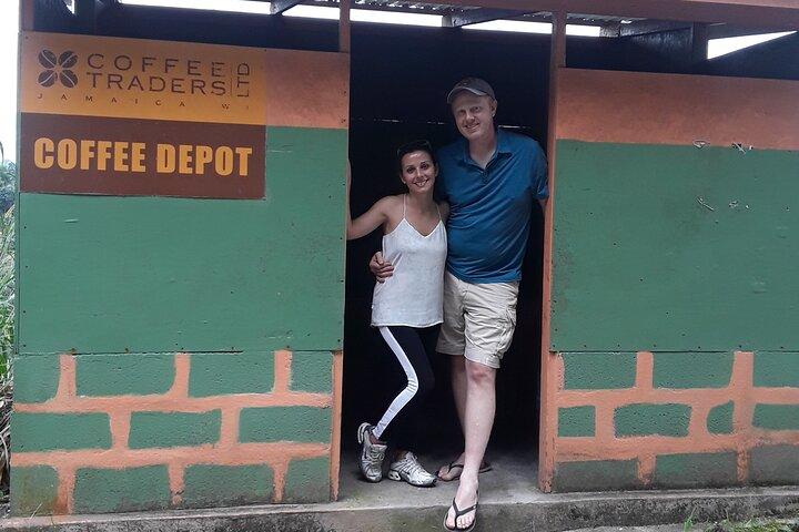 Blue Mountain Tour with Hotel Transportation