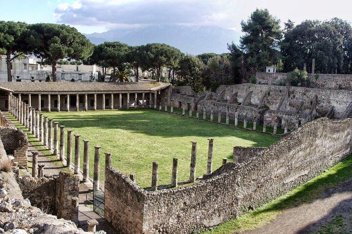 Pompeii and Vesuvius Experience from Sorrento - Skip The Line -