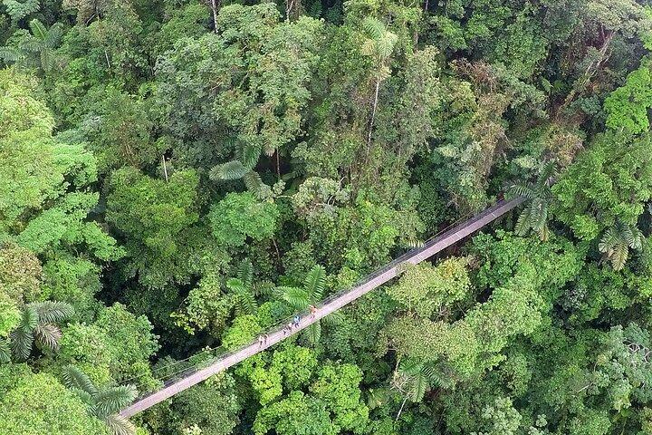 Arenal Hanging Bridges, Guided Walk, Hot Springs Optional