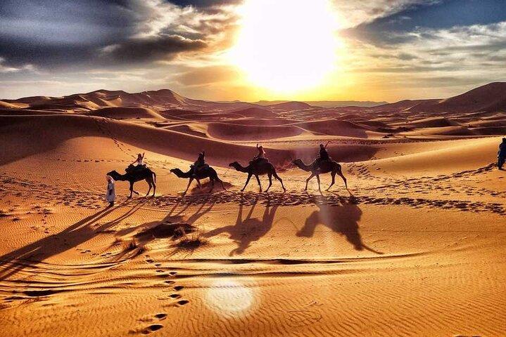 Camel Trekking Dubai with Dune Bashing and Sand Boarding