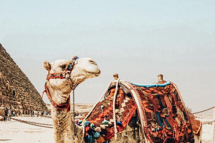 Tour to pyramids, Royal mummies & Civilization museum