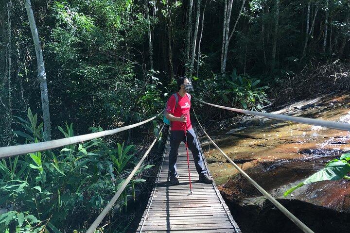 Adventure & History at Tijuca Forest (small group or private)
