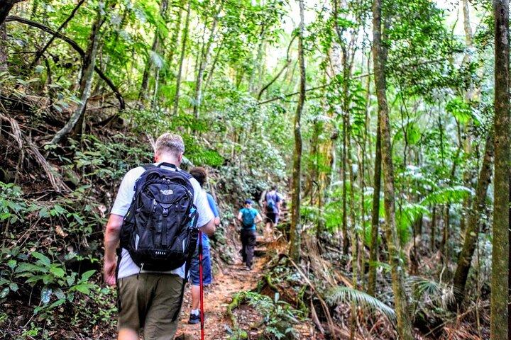 Adventure & History at Tijuca Forest (small group or private)