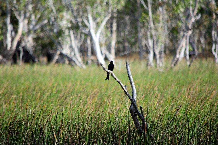 ETHICAL ADVENTURES - 1 Day premium Litchfield tour, small group