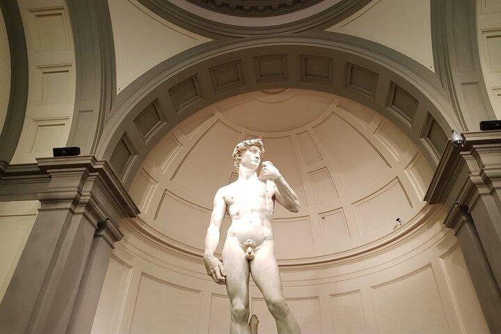 Michelangelo's David: Accademia Gallery Private tour