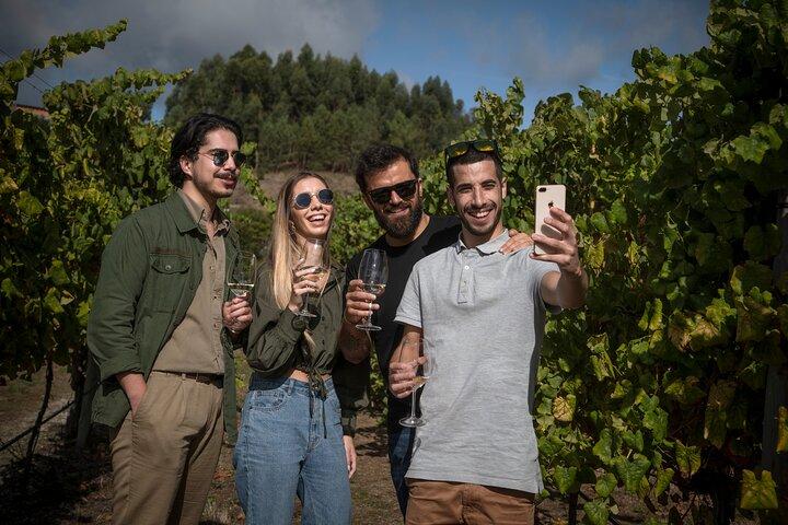 Identity Tasting | Quinta de Santa Cristina Vinho Verde
