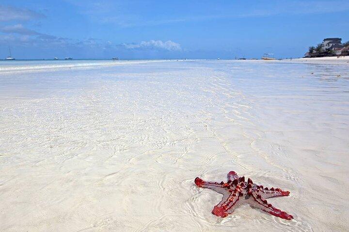 Marine turtules tour & kendwa beach relaxation