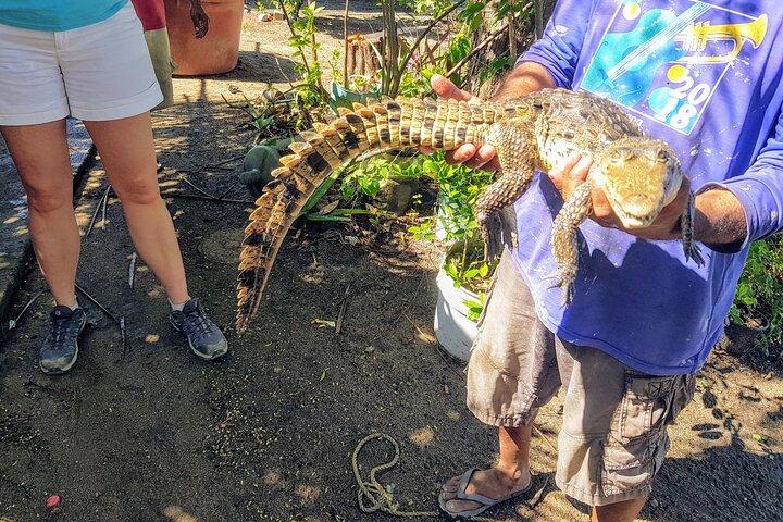 Afro-Mex Village Experience -Horseback Ride -Turtle Hatch & Crocs