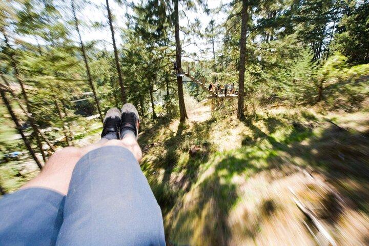 Victoria Zipline Adventure Tour