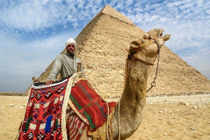8hours Private Giza Pyramids Memphis Sakkara Lunch and Camel ride