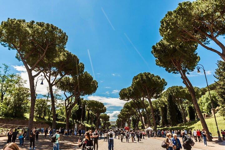 Rome Half Day Tour with a Local: 100% Personalized & Private