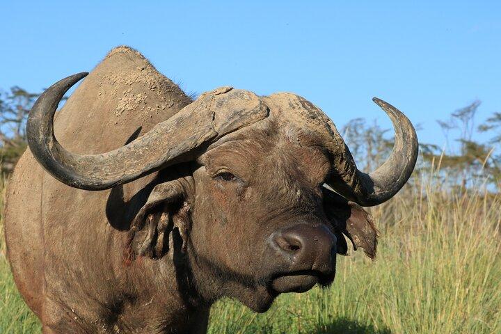 2 Days Safari to Tarangire & Lake Manyara