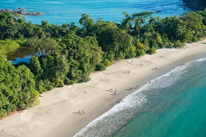 Manuel Antonio National Park: A Complete Wildlife Experience