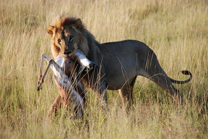 1-Day Safari-Trip to Ngorongoro Crater