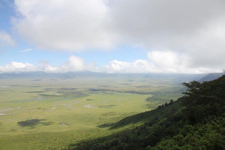 2-Day Safari Tour to Tarangire & Ngorongoro Crater (Mid-range)