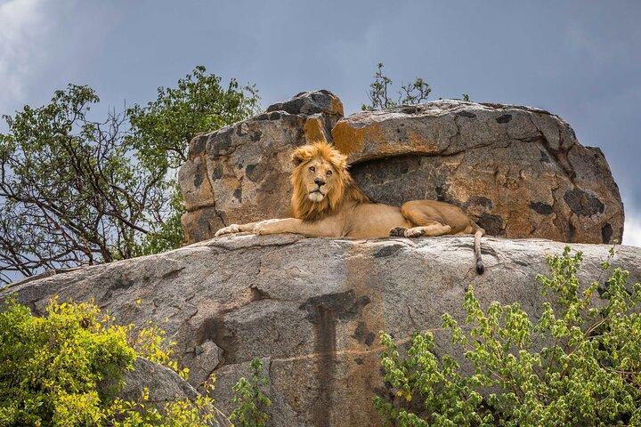 8 Day: Game Drive, Hiking and African Cultural Tour