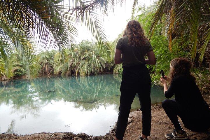 Private Full-Day Materuni Waterfall, Coffee and Hot-spring Tour in Moshi