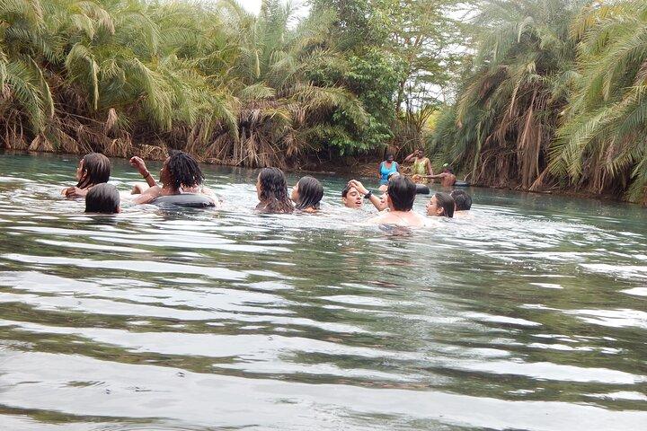 Private Full-Day Materuni Waterfall, Coffee and Hot-spring Tour in Moshi