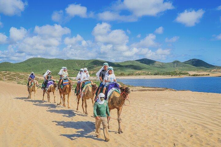 Beach Camel Ride and Encounter in Cabo