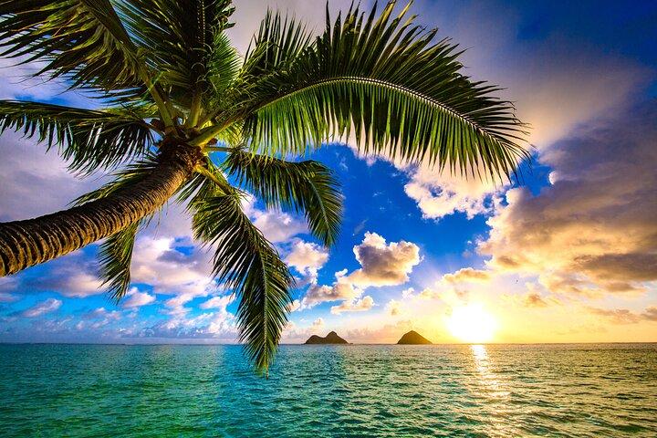 Shared Departure Transfer: Hotel to Maui Kahului Airport