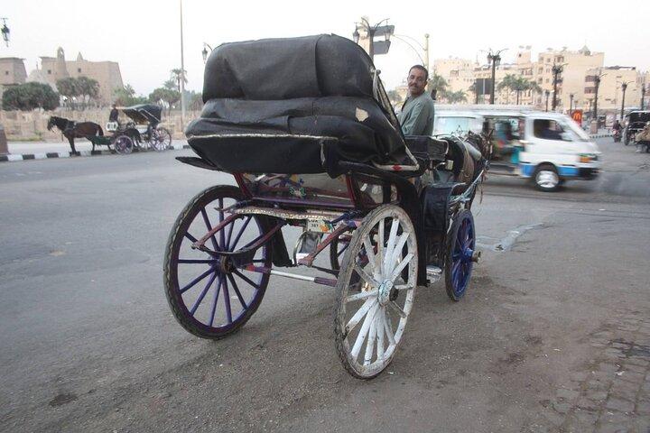 Luxor Horse-Drawn Carriage City Tour
