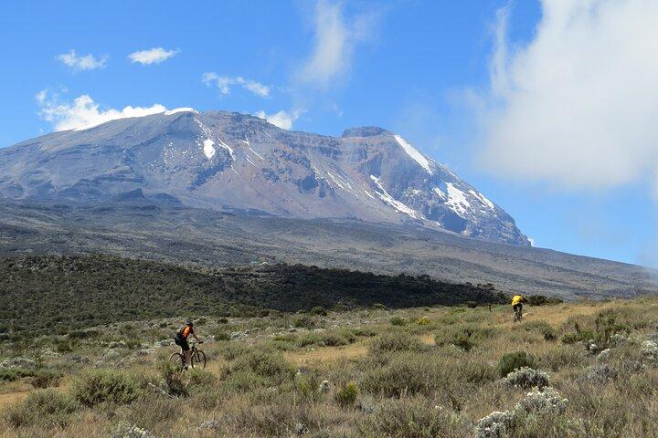 Mt Kilimanjaro Climb - 8 days Lemosho