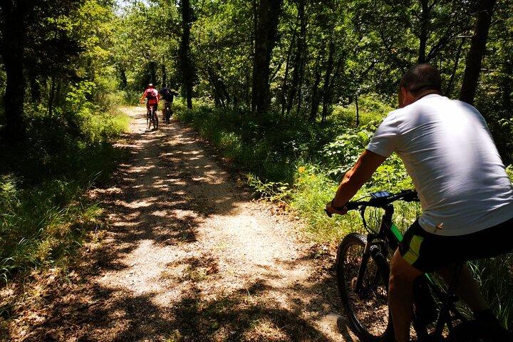 Unique EnoBike experience with tasting in 2 excellent wineries