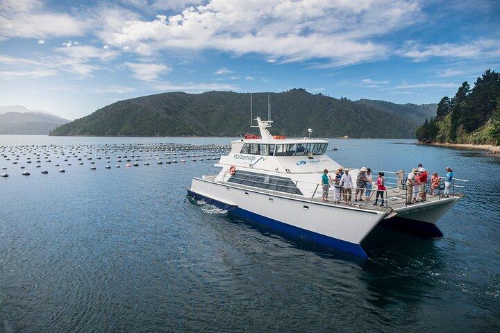 Marlborough Icons Tour - Wine tasting + Cruise