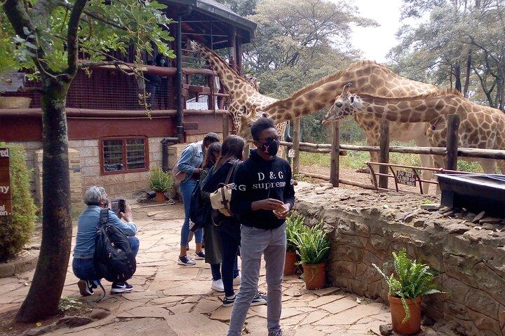Nairobi City Full Day Excursion