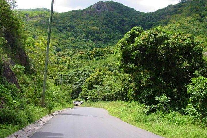 Half-Day Tour: A Taste of Paradise and History of Antigua