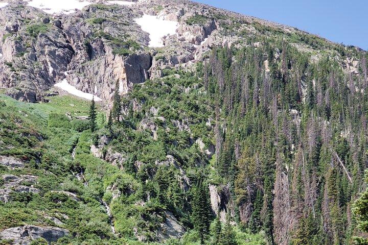 Private Three Hour Afternoon Custom Tour of Rocky Mountain National Park
